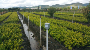 Intelligent Irrigation Control